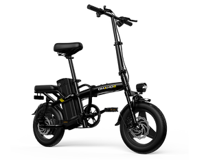 SOHAMO A2 Folding E-Bike