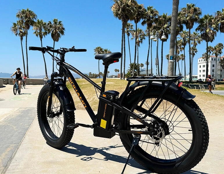 Homlpope fat tire bike shop